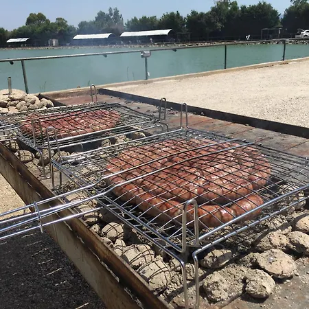 Apartman Albatros Viterbo