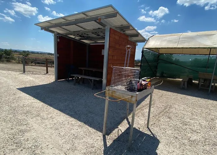 Albatros Apartment *