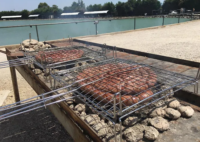 Apartment Albatros Viterbo